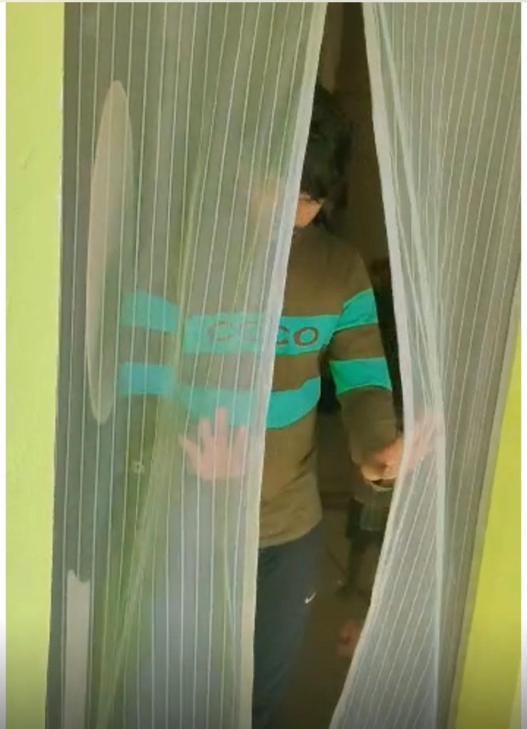Pleated Type · Curtain Mesh Door